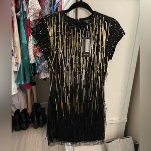 Fringe Sequin Bodycon Mini Dress